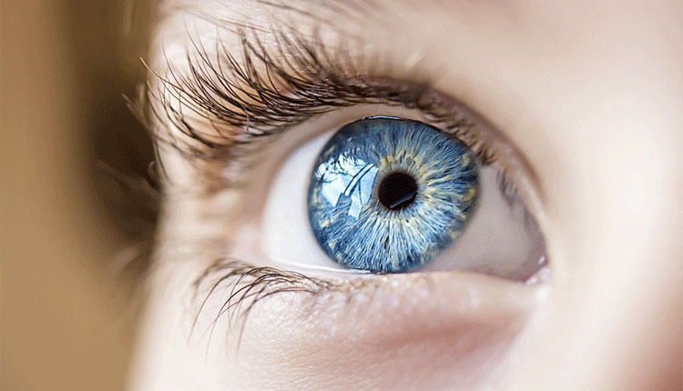 اگر چشم‌های آبی رنگی دارید، رنگ‌های گرم مناسب شما هستند: