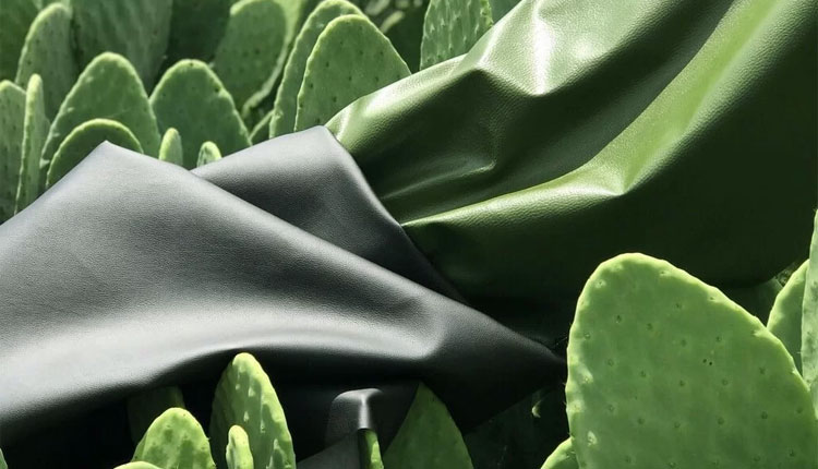 چرم گیاهی ساخته شده از کاکتوس
