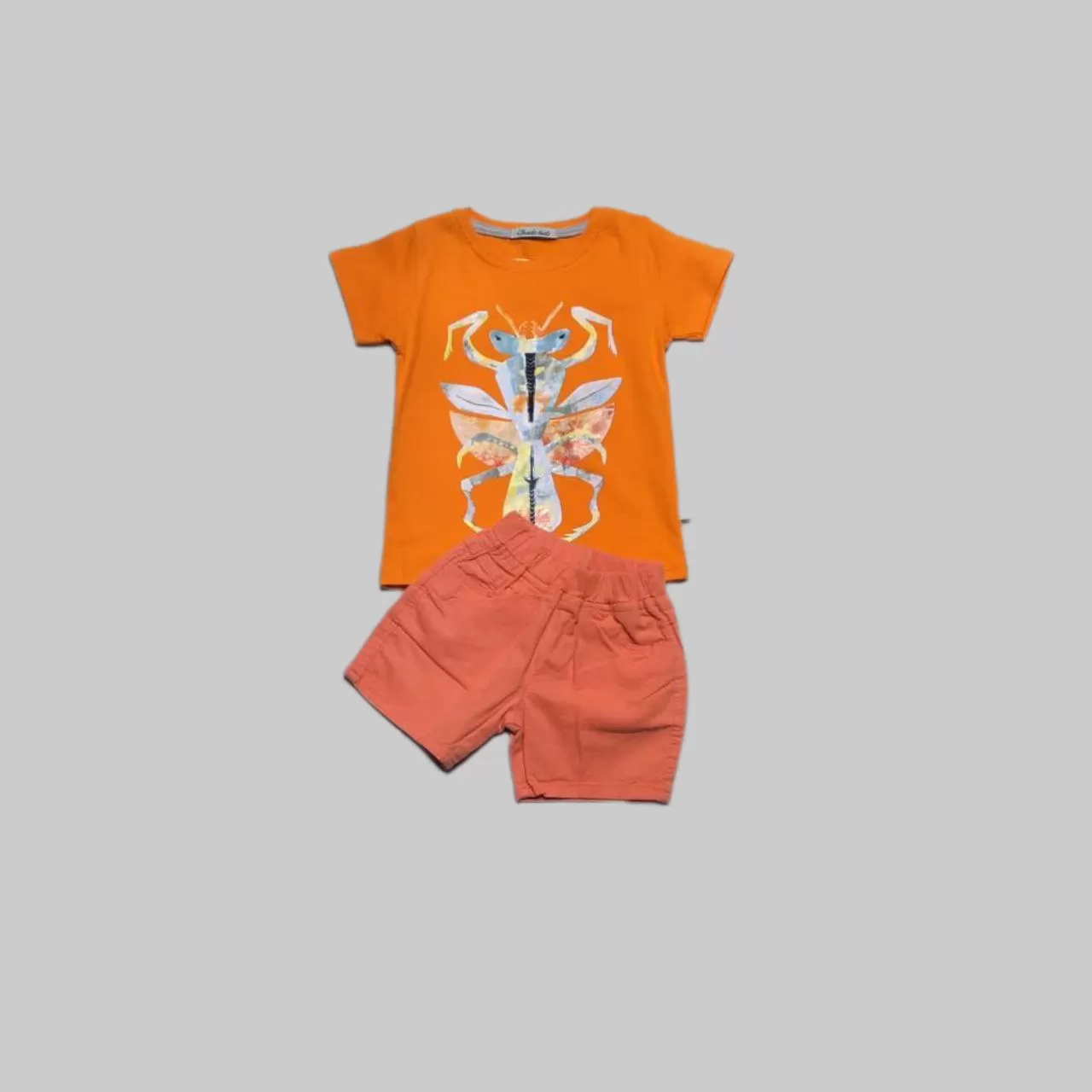 تیشرت و شلوارک طرح ملخ پسرانه