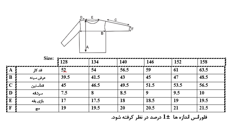 اطلاعات سایزبندی هودی طرح Fys پسرانه 