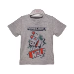 تیشرت و شلوارک طرح Minecraft پسرانه