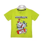 تیشرت و شلوارک طرح Minecraft پسرانه