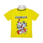 تیشرت و شلوارک طرح Minecraft پسرانه