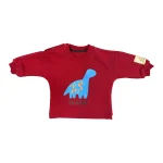 بلوز و شلوار طرح دایناسور نوزاد پسر